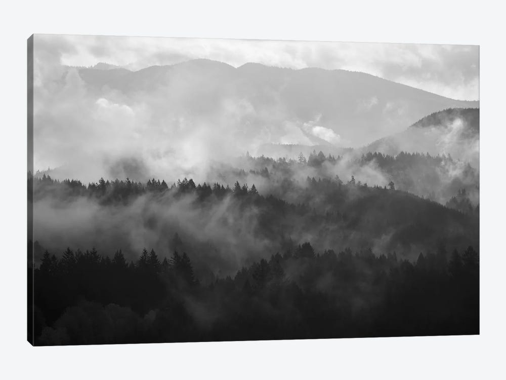 Mountain Mist Dream III by Dautlich 1-piece Canvas Artwork