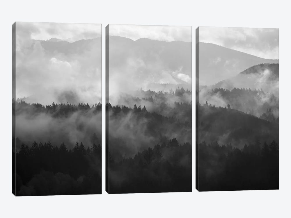 Mountain Mist Dream III by Dautlich 3-piece Canvas Wall Art