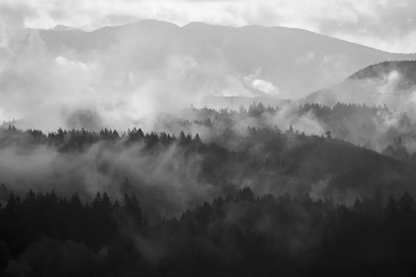 Dautlich: Mountain Mist Dream III by Dautlich