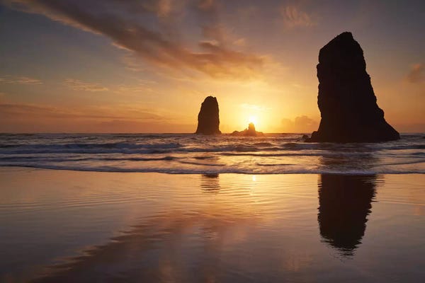 Dautlich: Beach Giants by Dautlich