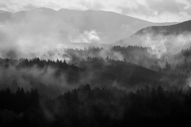 Mountain Mist Dream IV