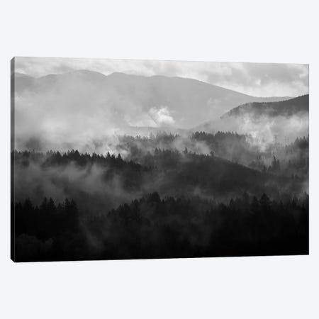 Mountain Mist Dream IV Canvas Print #DTH40} by Dautlich Canvas Print