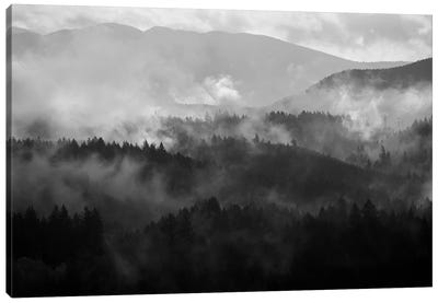 Mountain Mist Dream IV Canvas Art Print - Dautlich