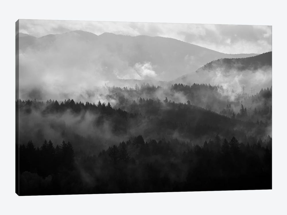 Mountain Mist Dream IV by Dautlich 1-piece Canvas Artwork