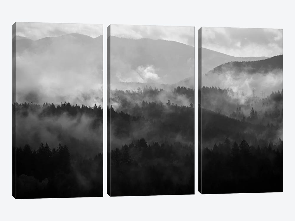 Mountain Mist Dream IV by Dautlich 3-piece Canvas Wall Art