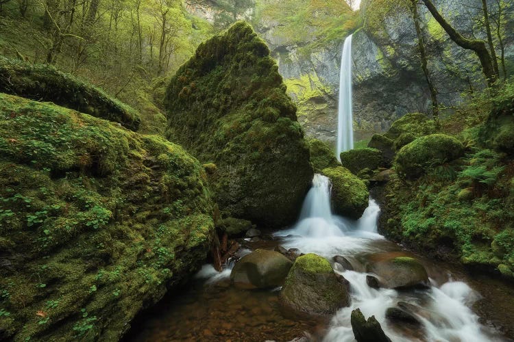 Mystic Waterfall