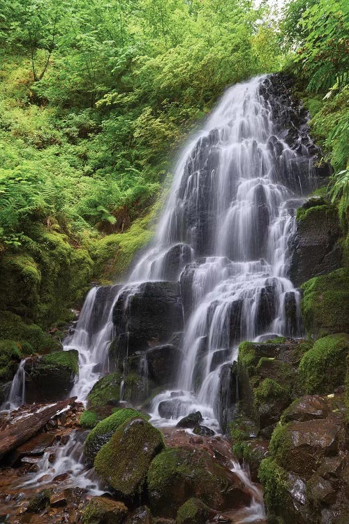 Secret Cascade by Dautlich wall art
