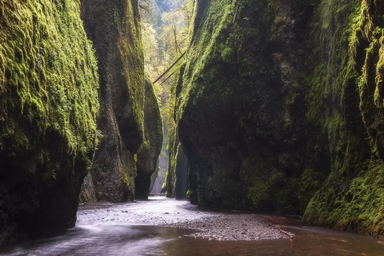 Silent Gorge