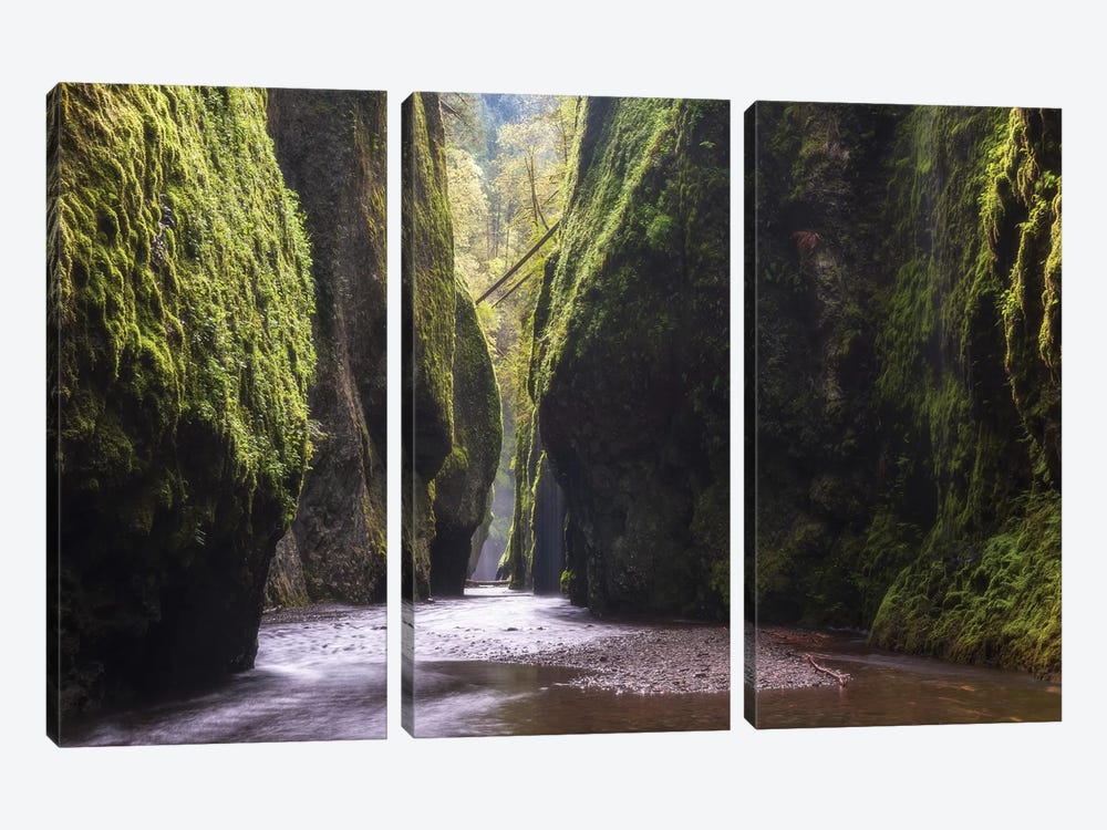 Silent Gorge by Dautlich 3-piece Art Print