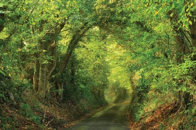 Spring Lane by Dautlich multi panel art