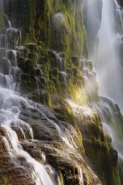 Dautlich: Sunlight Steps by Dautlich