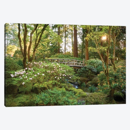 Zen Garden Canvas Print #DTH62} by Dautlich Art Print