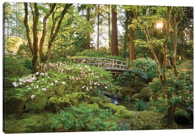 Zen Garden Canvas Art Print - Spa