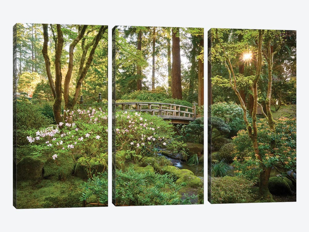 Zen Garden by Dautlich 3-piece Canvas Wall Art