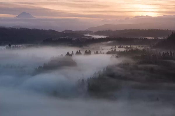 Dautlich: Dawn Glow by Dautlich