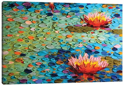 American Beauty I Canvas Art Print - Water Lilies Collection