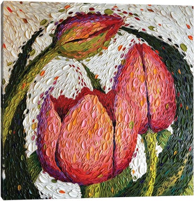 Peaceful Garden  Canvas Art Print - Tulip Art
