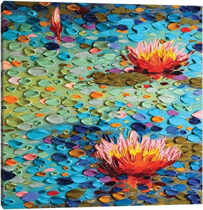 American Beauty II Canvas Art Print - Water Lilies Collection