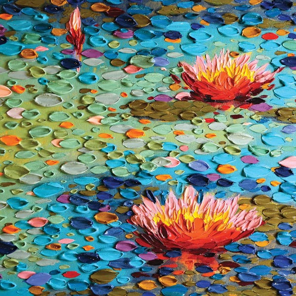 Water Lilies Collection: American Beauty II by Dena Tollefson