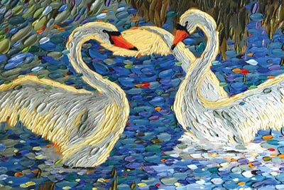 Swan Love II by Dena Tollefson metal wall art