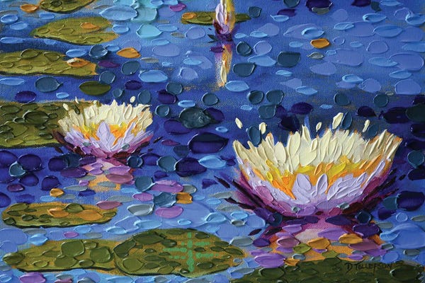 Water Lilies: New Day by Dena Tollefson