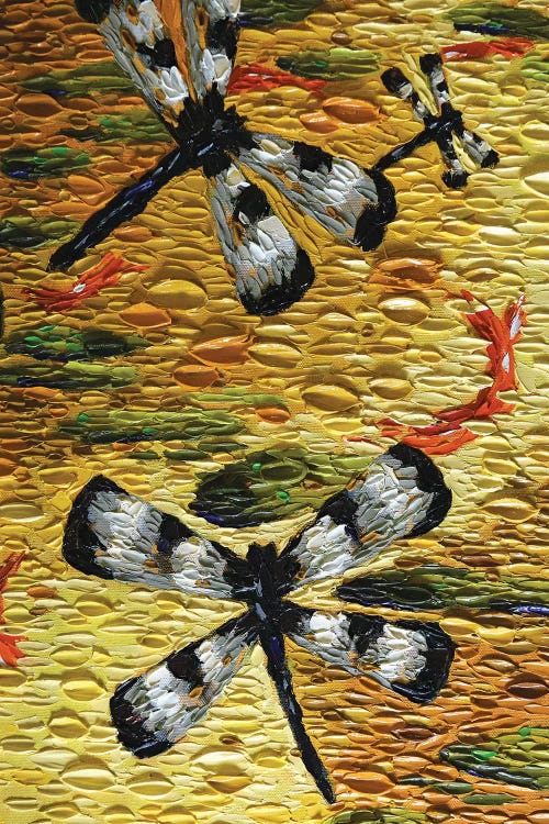 Golden Pond Dragonflies 