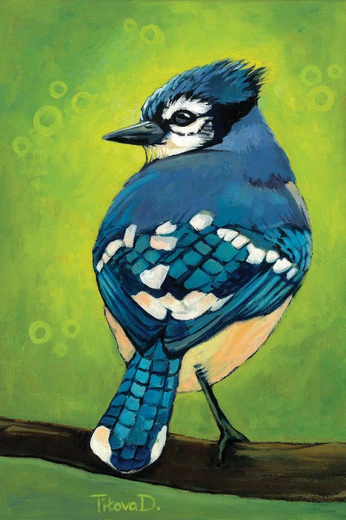 Mischievous Mister Blue Jay