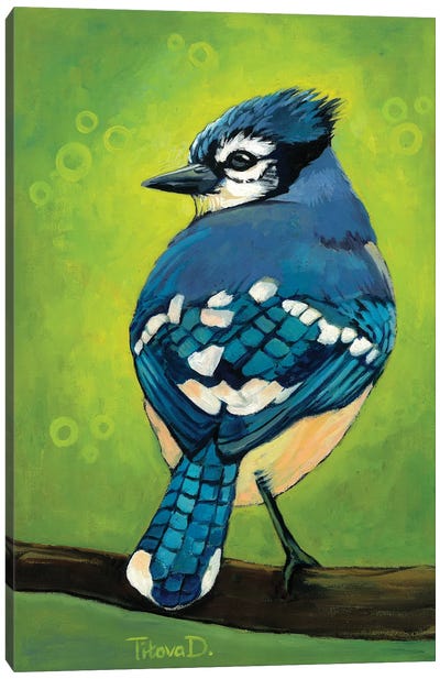 Mischievous Mister Blue Jay Canvas Art Print - Diana Titova