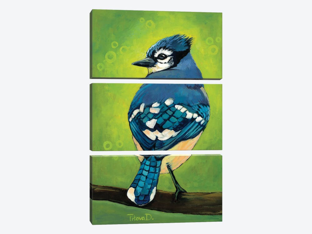 Mischievous Mister Blue Jay by Diana Titova 3-piece Canvas Art Print