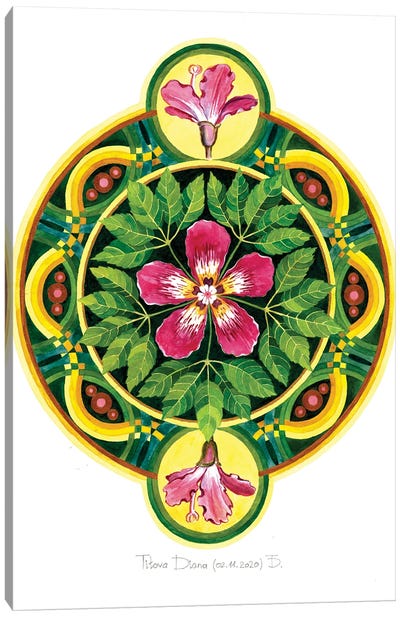 Ceiba Mandala Canvas Art Print - Mandala Art