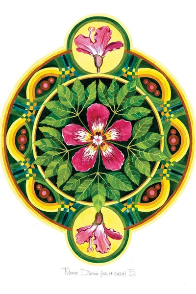 Diana Titova: Ceiba Mandala by Diana Titova