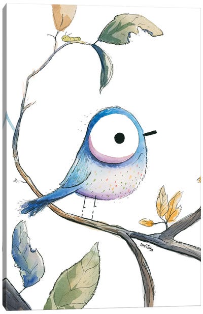 Blue Bird Stare Canvas Art Print - Dan Tavis
