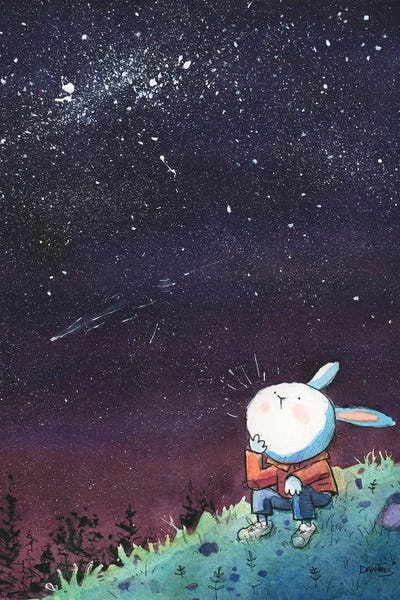 Bunny Starry Night by Dan Tavis framed canvas print