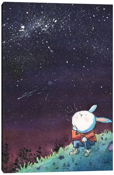 Bunny Starry Night Canvas Art Print - Dan Tavis