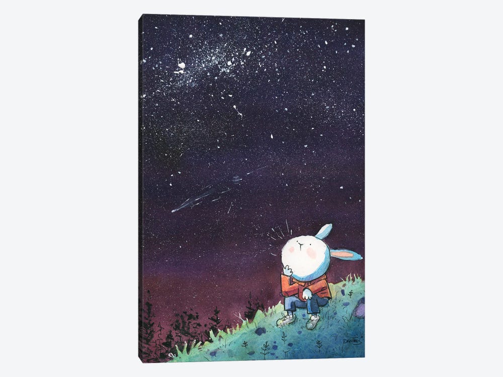 Bunny Starry Night by Dan Tavis 1-piece Canvas Wall Art