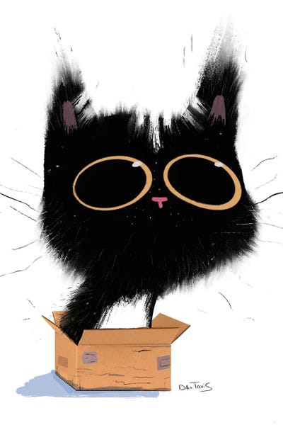 Cat In Box by Dan Tavis framed canvas print