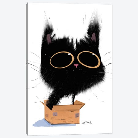 Cat In Box Canvas Print #DTV21} by Dan Tavis Canvas Print