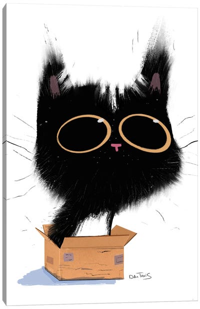 Cat In Box Canvas Art Print - Dan Tavis