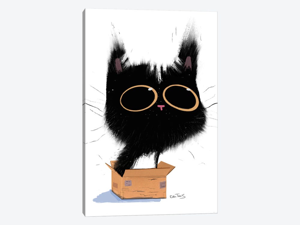 Cat In Box by Dan Tavis 1-piece Canvas Art Print