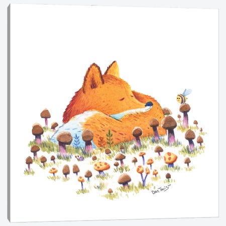 Fox And Mushrooms Canvas Print #DTV27} by Dan Tavis Canvas Wall Art
