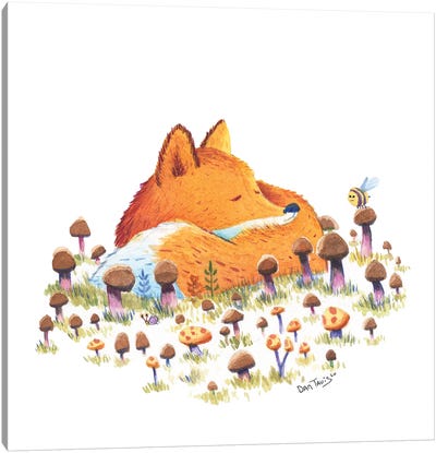 Fox And Mushrooms Canvas Art Print - Dan Tavis