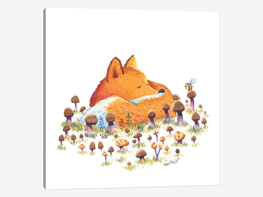 Fox And Mushrooms by Dan Tavis 1-piece Canvas Art Print