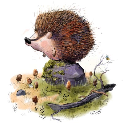 Henry The Hedgehog by Dan Tavis canvas print