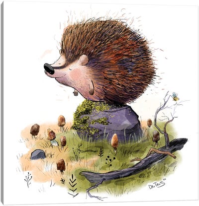 Henry The Hedgehog Canvas Art Print - Dan Tavis