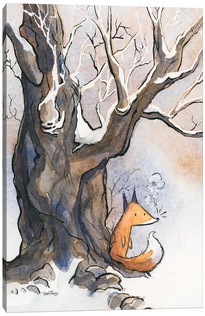 Fox Breath Canvas Art Print - Dan Tavis