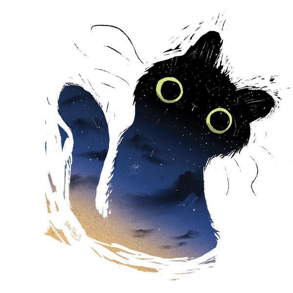 Black Cats: Galaxy Cat by Dan Tavis