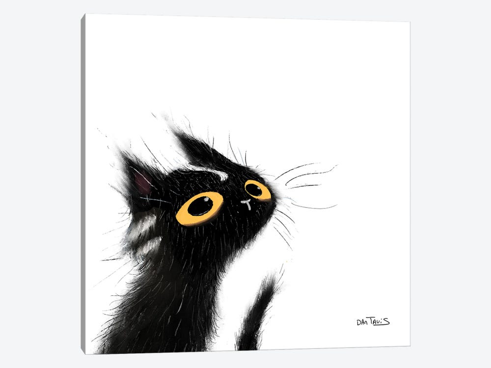 Mischievous Black Cat by Dan Tavis 1-piece Canvas Wall Art