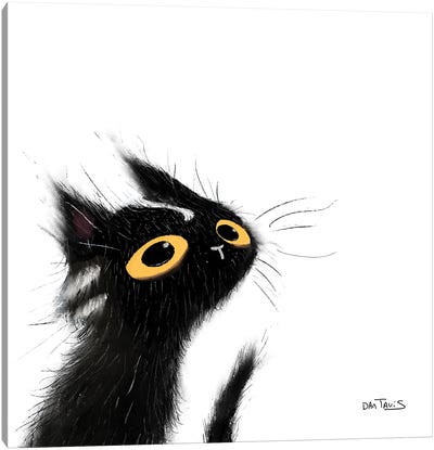 Mischievous Black Cat Canvas Art Print - Dan Tavis