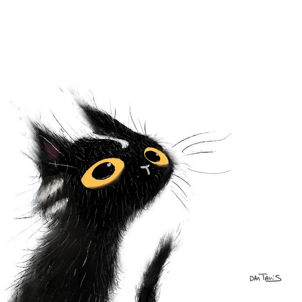 Black Cats: Mischievous Black Cat by Dan Tavis