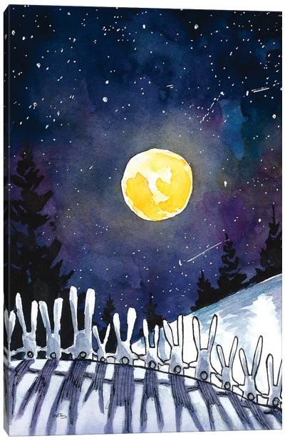 Moonlight Bunnies Canvas Art Print - Dan Tavis